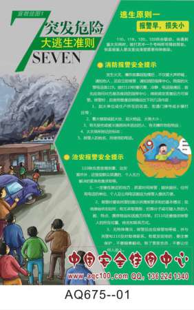 突发危险七大逃生准则宣传挂图-AQ6752016年安全月海报